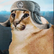 Тарковский кот