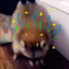 sparklingraccoon