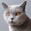 Gray Pixel