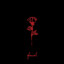 NightLovell
