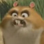 Hamsupallo