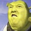 Shrek&#039;s Shriek