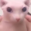 Bingus