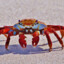 Crab