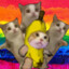 蕉蕉猫不爱哭