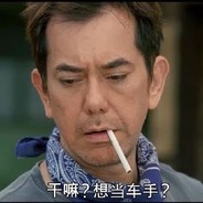 干嘛，想当车手？