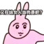 秋期期