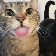 (cold hands)Hiritari