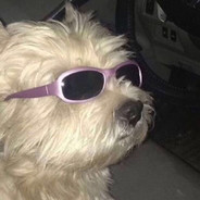 80岁老头吸氧打狙