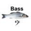 Not a seabass but a bass voice