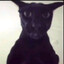 mobby's avatar