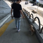 不畏浮云遮望眼