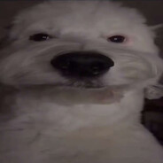 Snowbeamer - steam id 76561199820434261