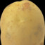 Siler_Potato