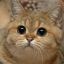 meowmeowmeowmotherfucker