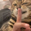 龙玉