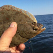 floundeeeeeer