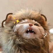 开门你的快递哟