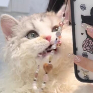 我的26岁女蛊仙