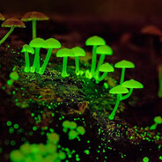 .#🥒🥑🌿-Eyoko.-🥬🌱