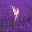 LadyLavender