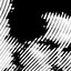 Nostratum