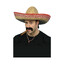 Avatar of player SantoBuritos