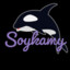 Soykamy