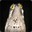 POTOO