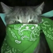 𝖘𝖆𝖐𝖚𝖗𝖆𝖎