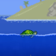turtledshell avatar