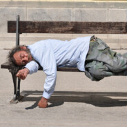 Schmetterling 1 großartig