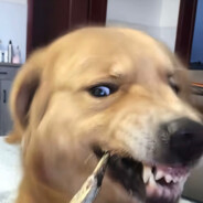 刚结婚没有状态