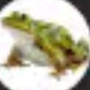 мишка фрэде