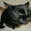 Dark☆Minou☆