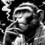 Macaco fumando cigarro