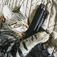 打得一手好飞机