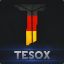 TesoX