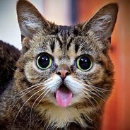 ĮñfąmøûšĐööM