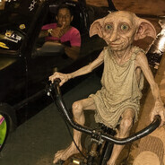 ALEEK