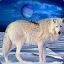 greywolfe