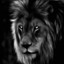 TheLion