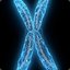 ☐ Chromosome 21