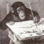 primate painting