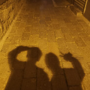 帝国学院のsakura