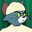 Gatto