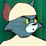 Gatto