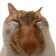 难道我开挂就不辛苦吗