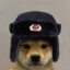 Black Doggo