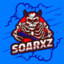 Soarxz